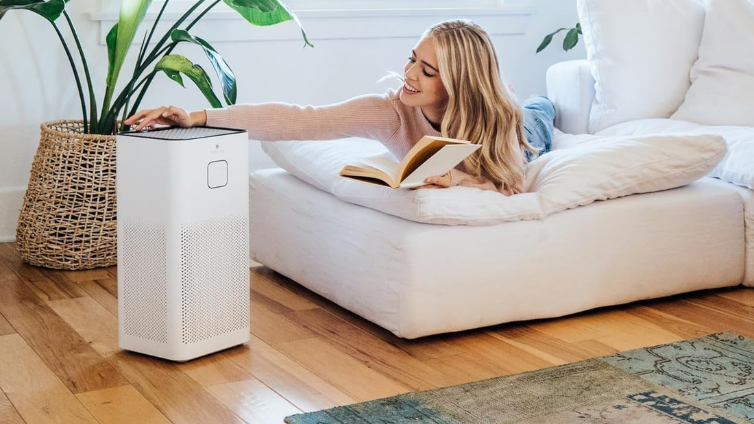 A Comprehensive Guide to Air Purifiers and Accessories: Understanding Types, Benefits and Maintenance