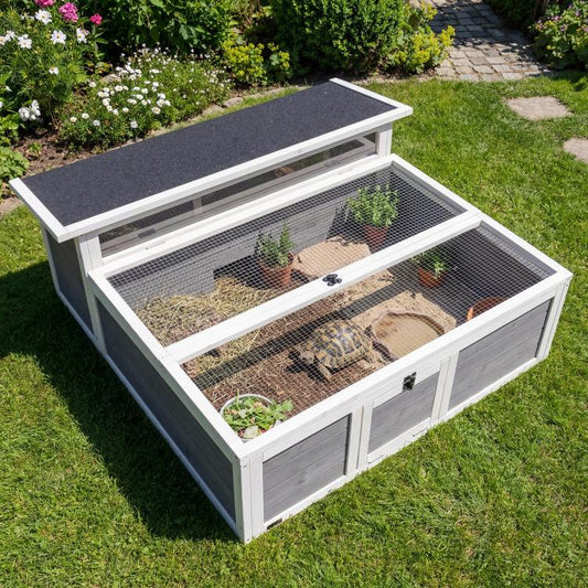 Outdoor tortoise enclosure with open top, dark gray base, and wire mesh walls and floor