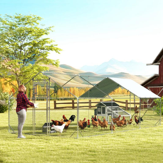 Outdoor metal chicken run with mesh sides, slanted covered roof, and standing chickens