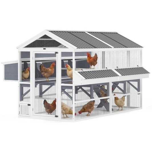 Outdoor chicken coop with white wire mesh walls, gray roof, roosts, and access ramps