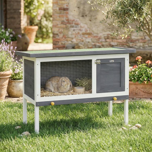 Outdoor elevated rabbit hutch with wire-mesh front and dark door, rabbit inside
