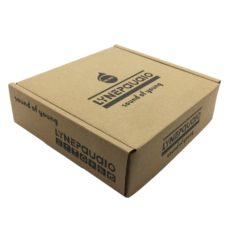 LINEPAUDIO A961 shipping box, brown cardboard with logos and branding