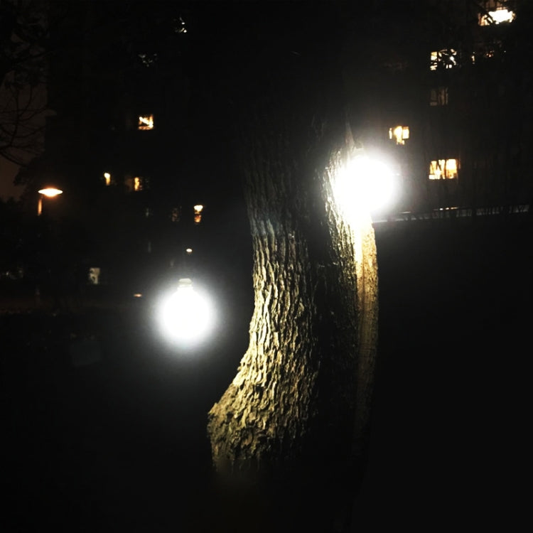 Bright solar lantern light bulbs glowing near a tree at night