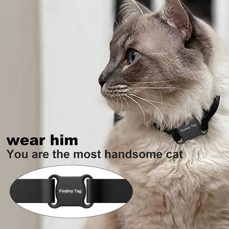 Gray cat wearing a collar with a black Bluetooth tracker tag attached