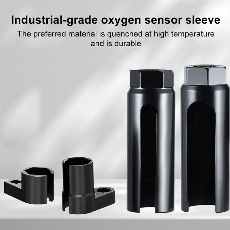 EDA0081711_B2.jpg@613e7bfa3683227a30db0d6aa6b6214a