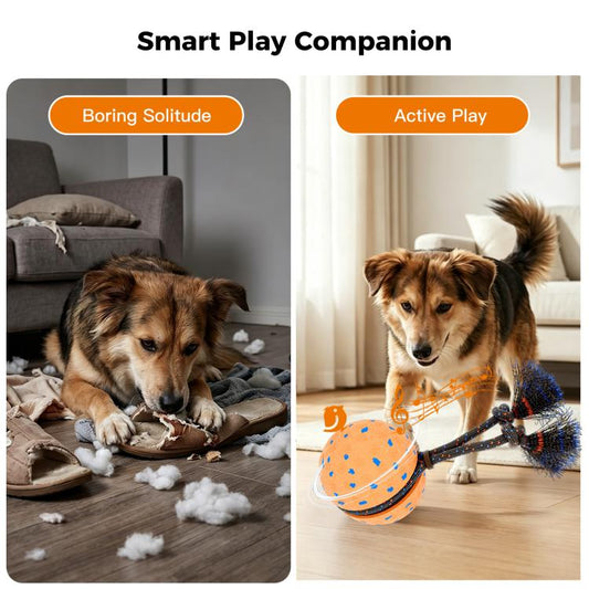 Orange dog ball toy on a rope with blue bristle brush heads near a playing dog