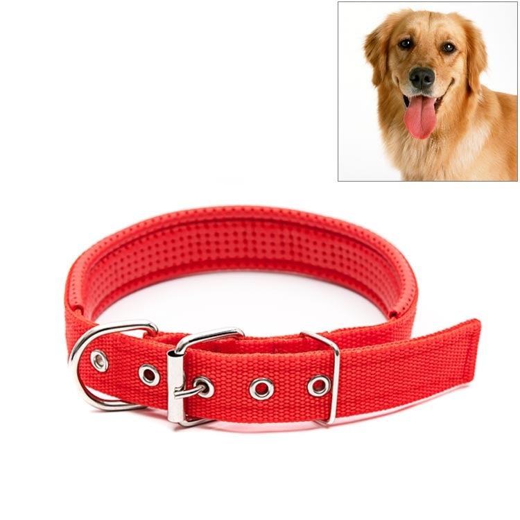 Red pet collar with silver buckle, D-rings, and adjustable strap with metal eyelets.