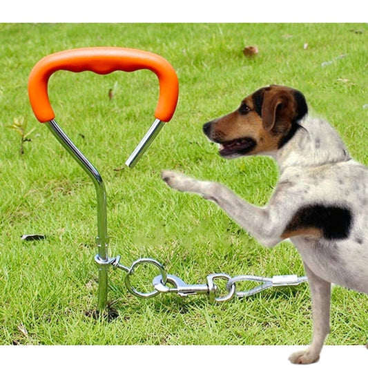 Dog Pile Fixation Spiral Nail with Handle For Medium Small Dog Long Training Outdoor, Size: 45cm*9mm, Size: 45cm*9mm