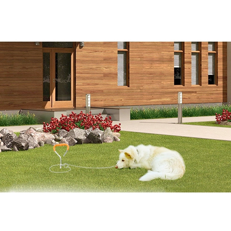 Spiral dog tie-out stake with chain on grass near a lying dog
