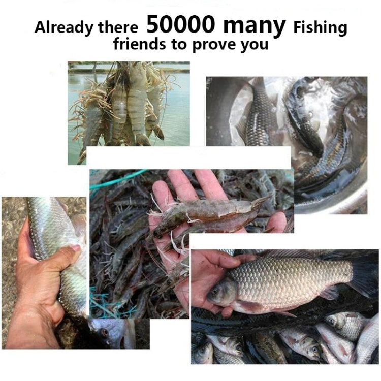 Fish and shrimp caught in a dark green mesh fishing net trap
