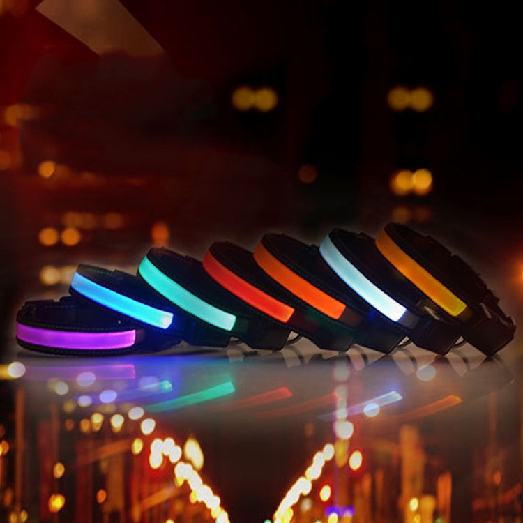 Assorted LED light-up dog collars in multiple colors displayed