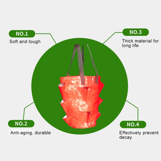 CMD-3 3 Gallon Hanging Strawberry PE Planting Bag Horticultural Flower Planting Bag