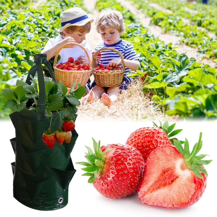 Black hanging strawberry planting bag with strawberries and green foliage pocket