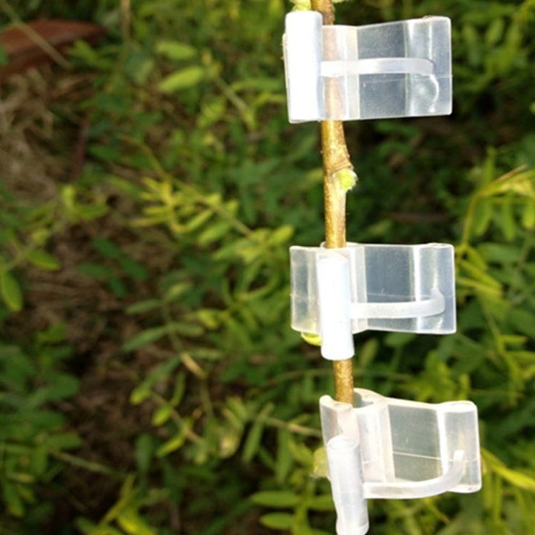 100 PCS Plant Grafting Gardening Plastic Grafting Folder Grafting Clip Transparent Gardening Plastic Grafting Clip Tomatoes Grafting Clips, Plant Grafting Clips