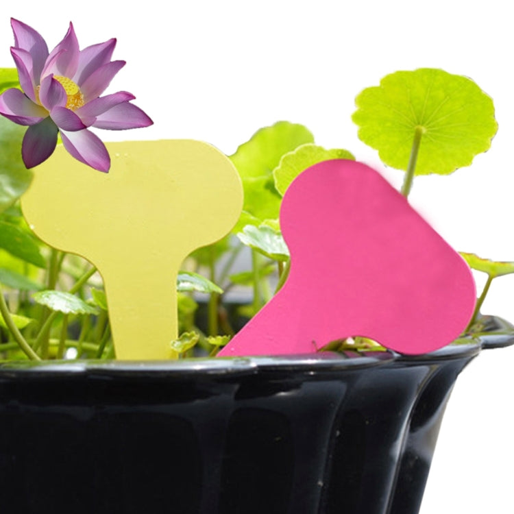 Two heart-shaped plant label cards: yellow and pink, peg-style tips
