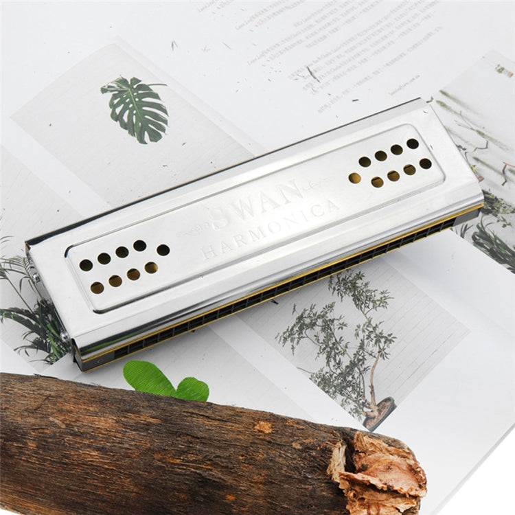 White 24-hole polyphonic harmonica on papers, close angle showing tone holes