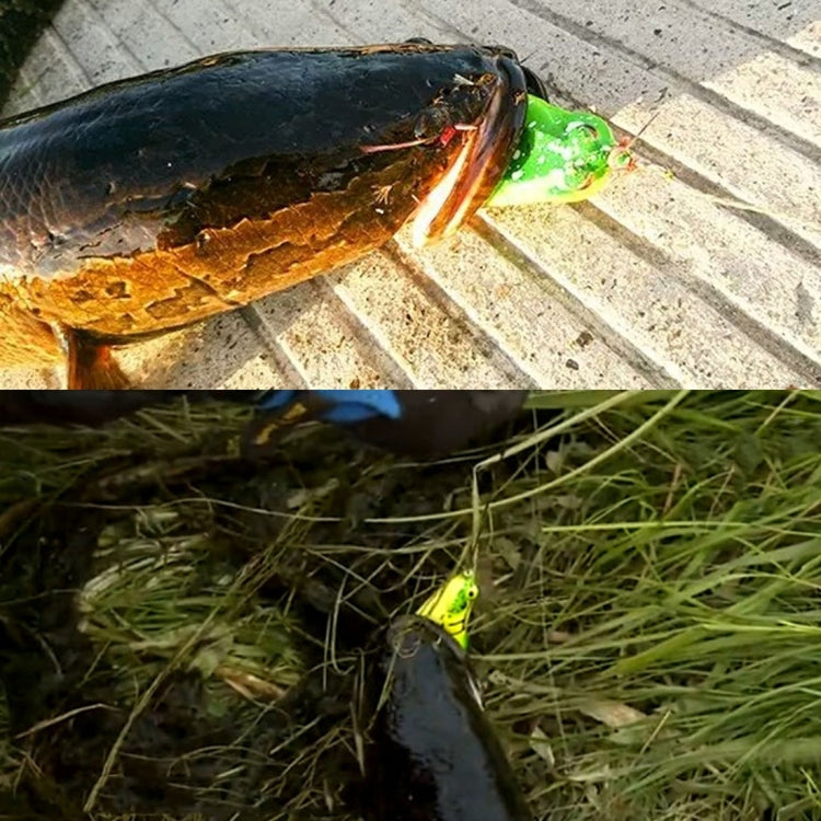 Green mouse fishing lure near a fish on the ground.