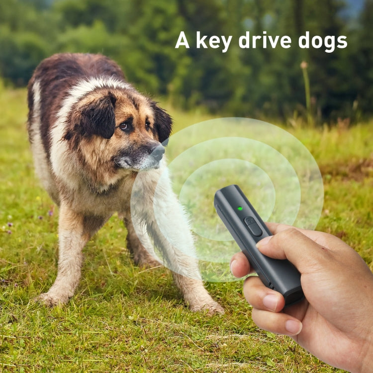 Hand holding black N11 ultrasonic dog repeller near a dog on grass, device controls visible