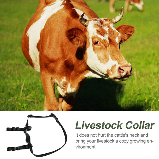 V34/V44 Cattle Locator Set Animal Tracking Anti-lost Device GPS Positioning Collar, For Cattle