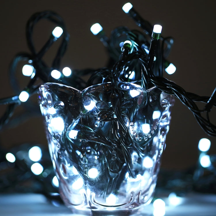 Cool white LED string lights on dark wire, close-up of glowing bulb tips