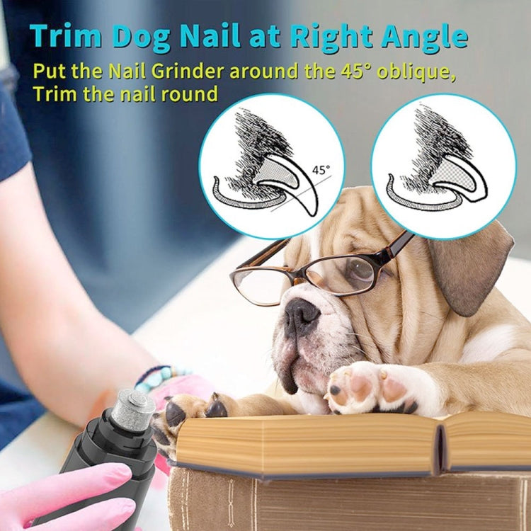 Pet nail grinder trimming a dog paw, black handheld device with grinding head