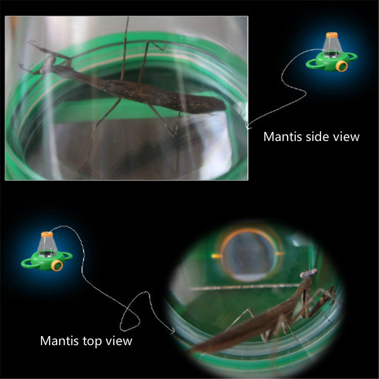 4X Handheld Insect Magnifier Kindergarten Teaching Aids, 4X