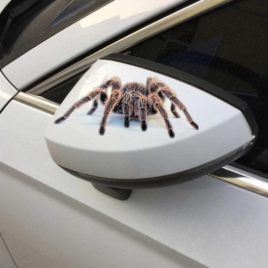 Creative Personality Scratch Cover Car Body Sticker, Black Spider, Spider Pair, Scorpion, Lizard
