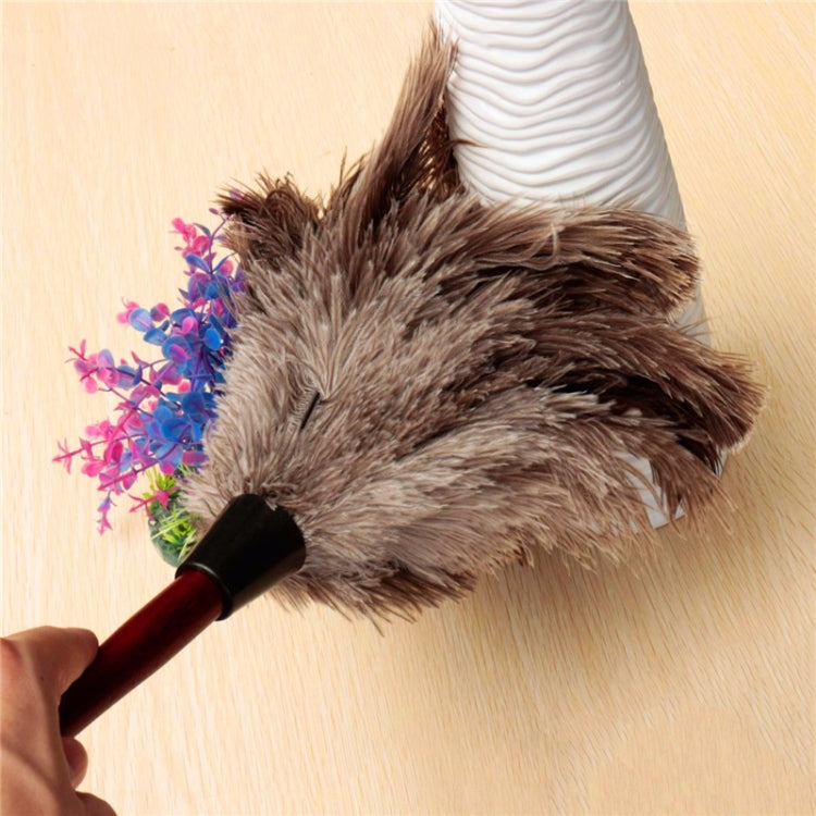 Feather duster brush used near a white vase; brown and cream feather head on red handle