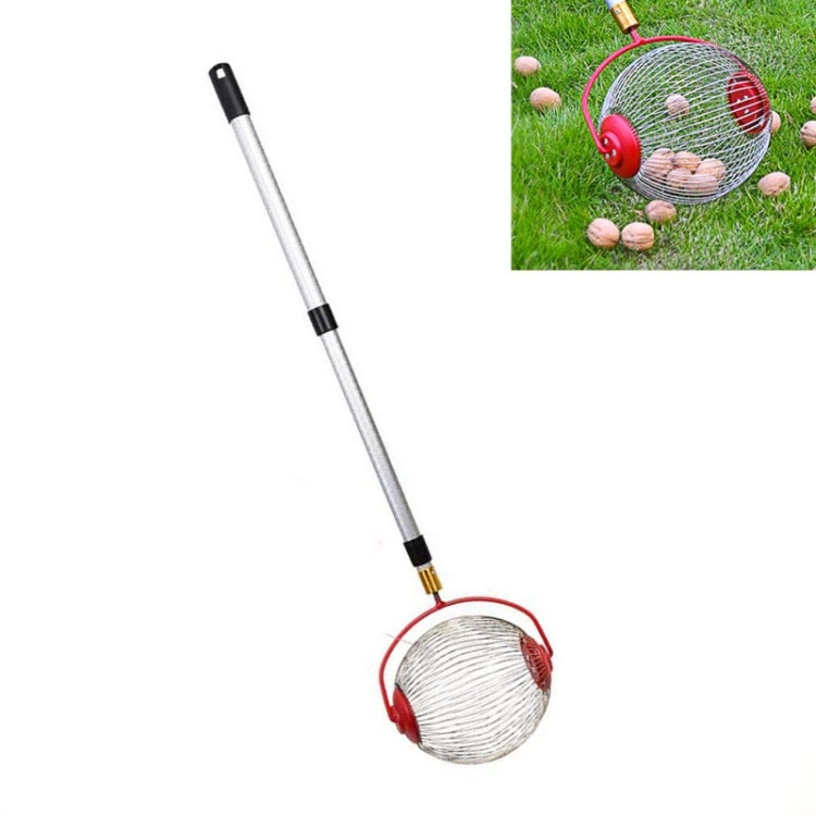 Telescopic nut and fruit picker with round metal mesh basket and red scoop wheels