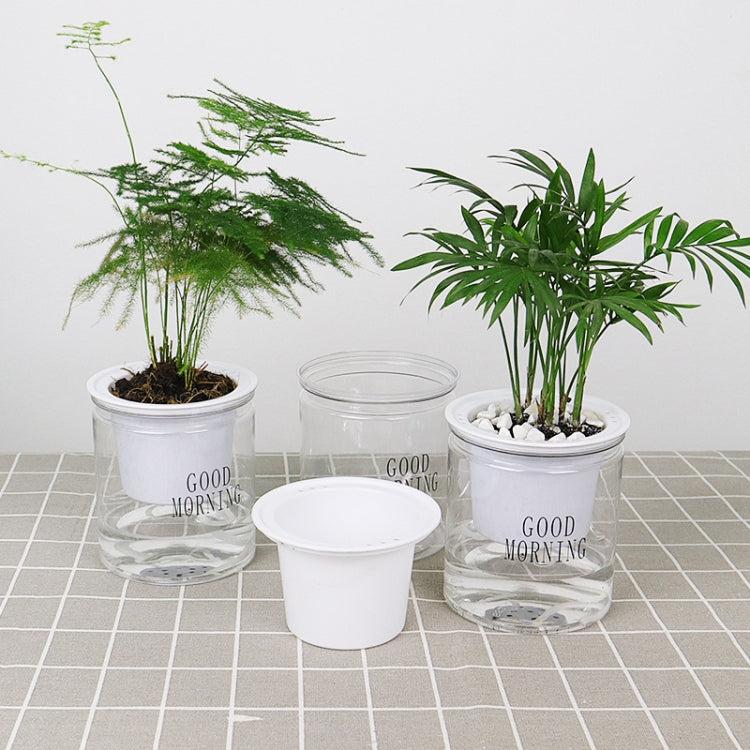 Group of clear hydroponic plant pots with “GOOD MORNING” text and included white cap pot