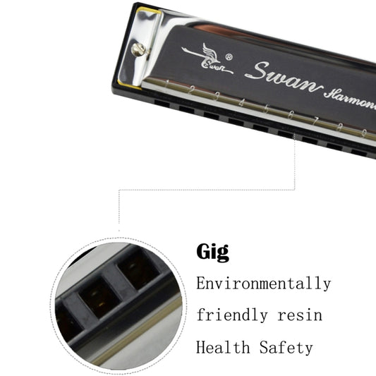 Swan-branded 10-hole harmonica with engraved logo on silver cover