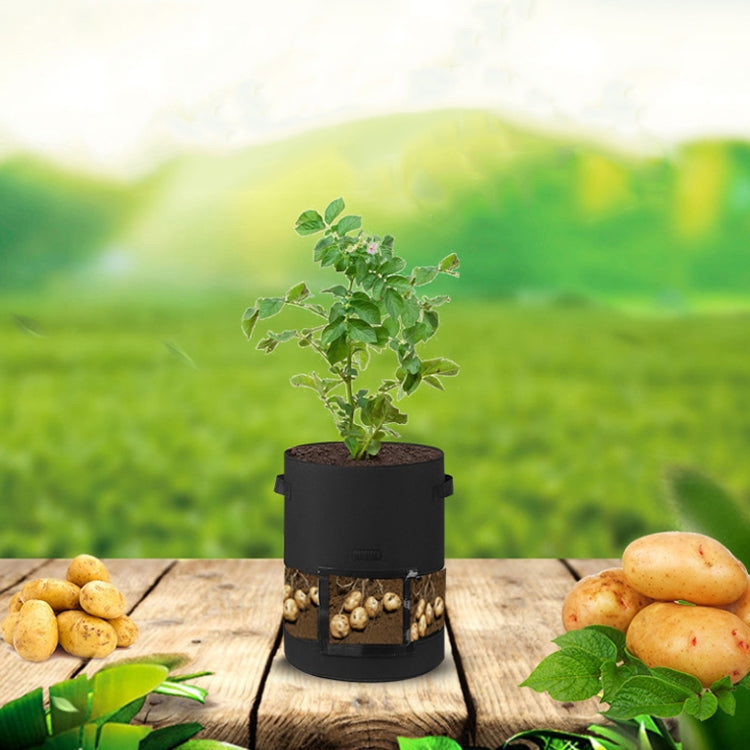Black transparent potato grow bag with plant sprouts and visible potato window panel.
