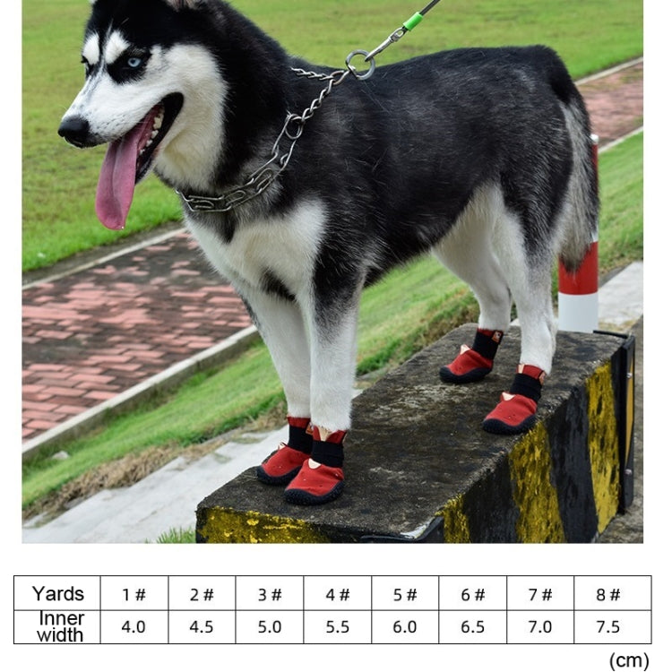 Husky wearing red dog shoes with black straps and red soles on outdoor steps
