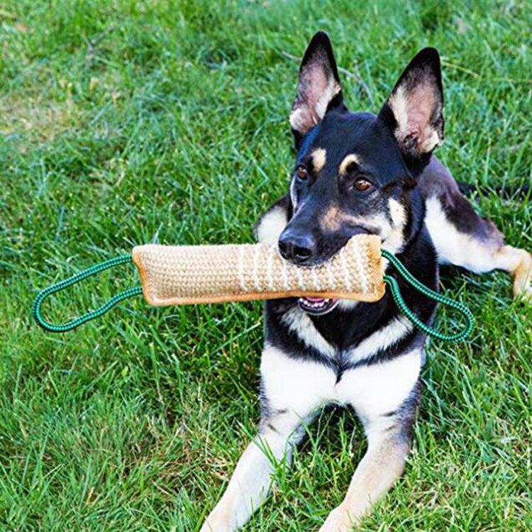 Dog bite stick with woven tan fabric and red-and-white striped end, held in mouth