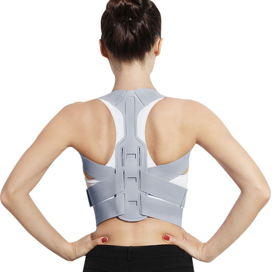 Back posture correction belt with light gray brace and adjustable straps