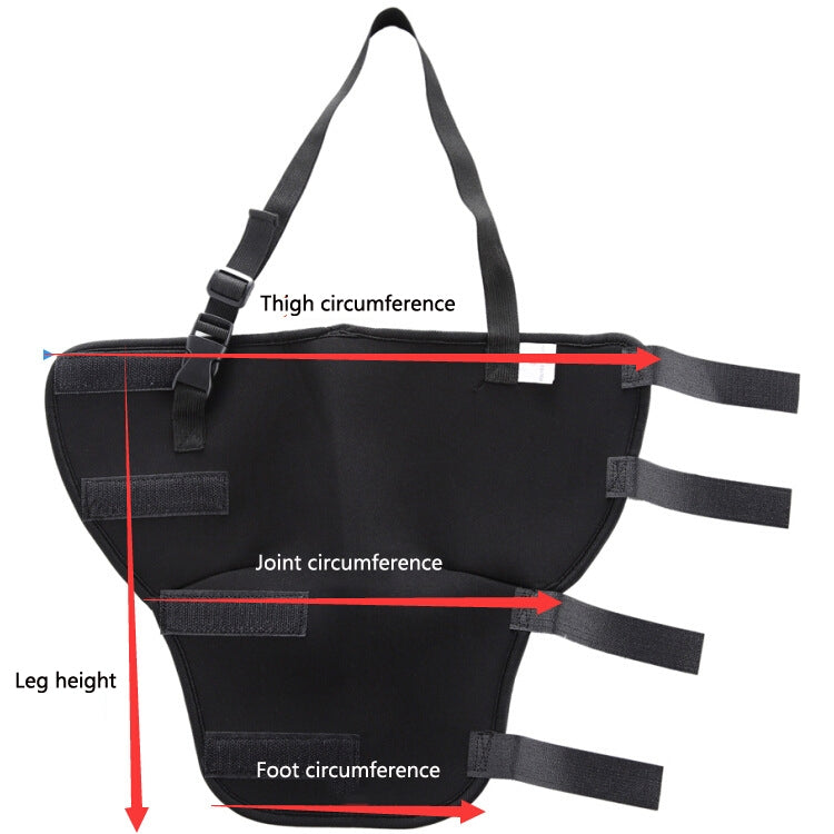 Dog back leg protector size diagram: leg height, joint circumference, and foot circumference