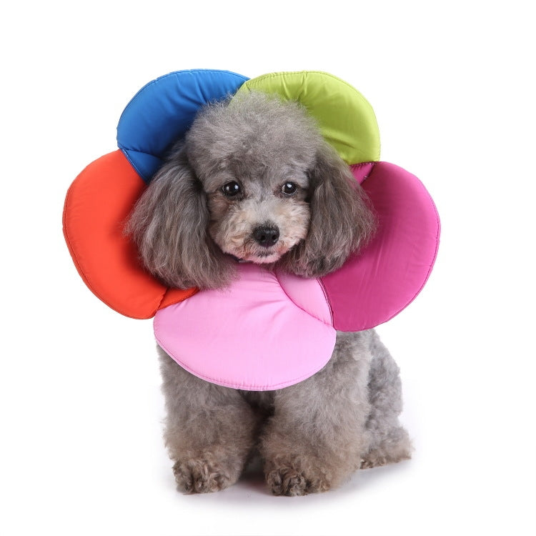 Dog flower pet protection collar with colorful foam petals: blue, green, orange, pink, purple