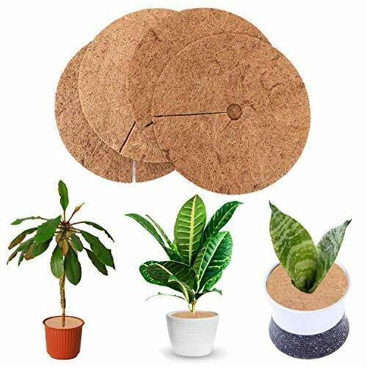 Brown coconut coir root mats with white holes placed under small potted plants