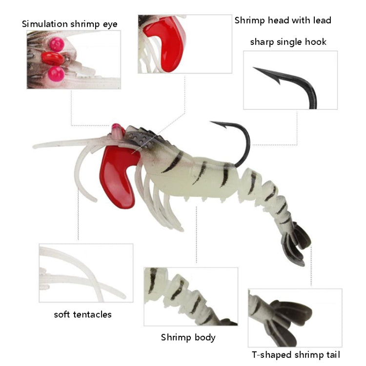 Diagram of soft shrimp lure features: lead head, sharp hook, tentacles and T-tail