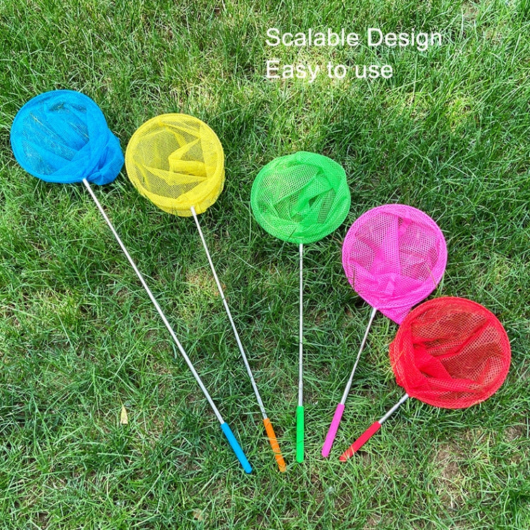 Set of colorful round mesh catching nets with telescopic handles
