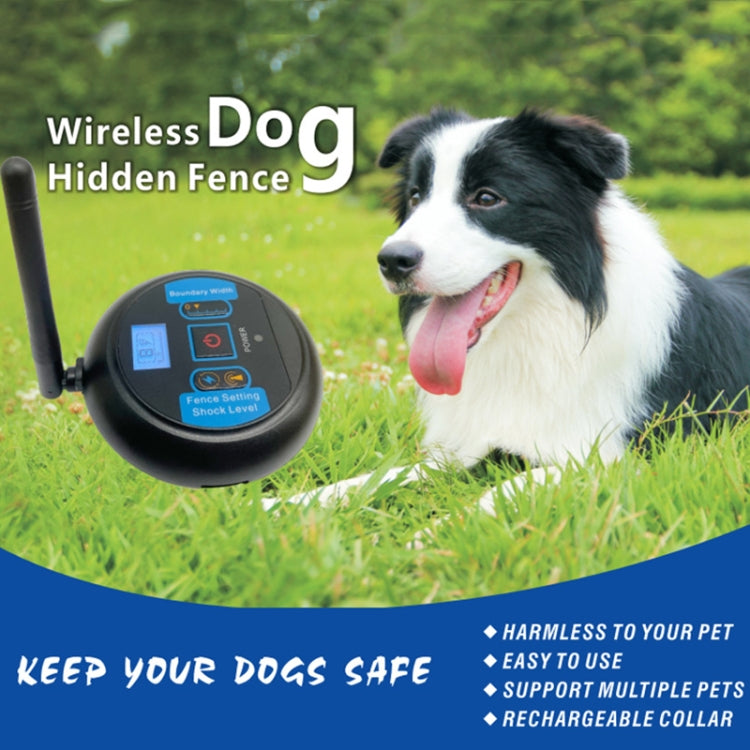 Border collie wearing bark stopper collar with wireless fence transmitter