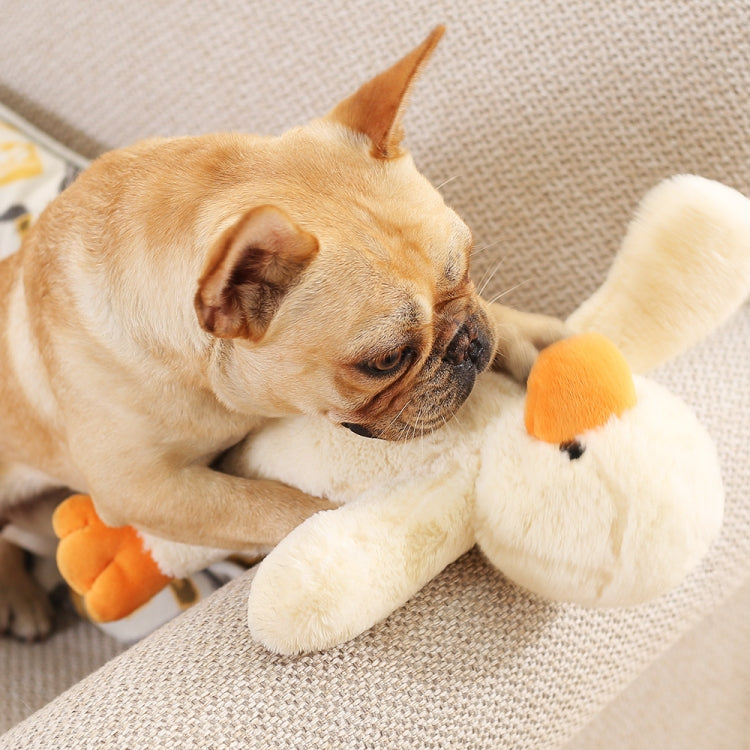 Dog playing with cream plush duckling biting toy with orange beak and plush wings