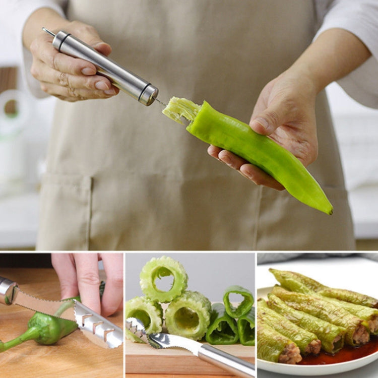 10 PCS Stainless Steel Pepper Seed Decator Fruit Kernel Knife, Round Handle, Diplonema Handle