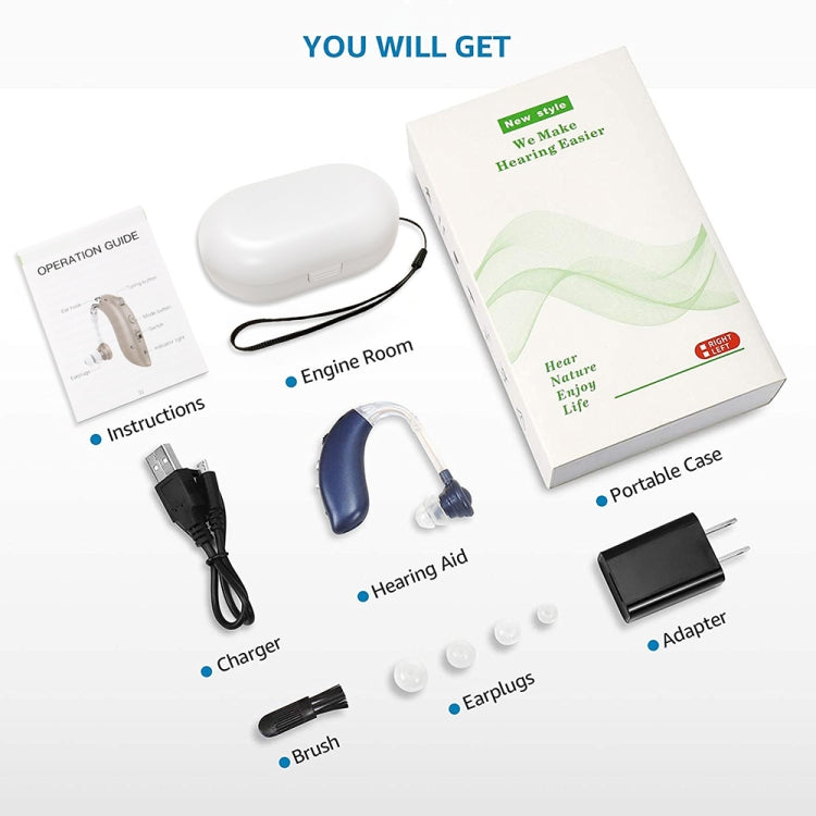 Hearing aid kit with portable case, charger, adapter, ear tips, and cleaning brush