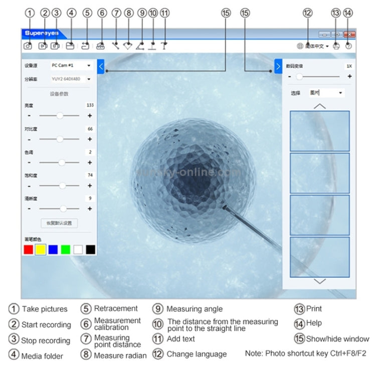 Endoscope video software screen with circular live-view and measurement controls