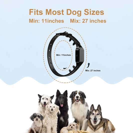 TBD06040569_B2.jpg@3f4214a6e0c277dc31b5c6e97dd92a4a