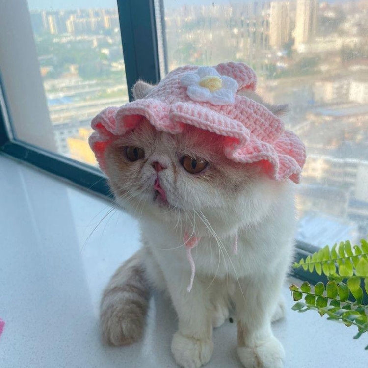 Pink knitted flower hat for cats and dogs on a light cat, ruffled brim