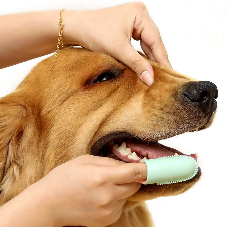 Pet finger toothbrush with handle, mint silicone bristles