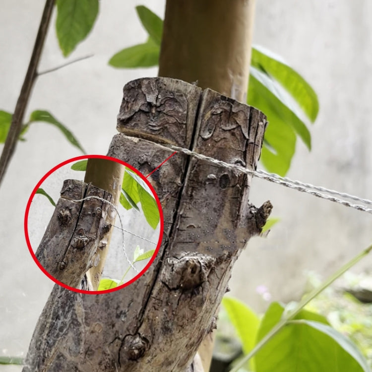 Steel wire rope saw cutting through a tree trunk