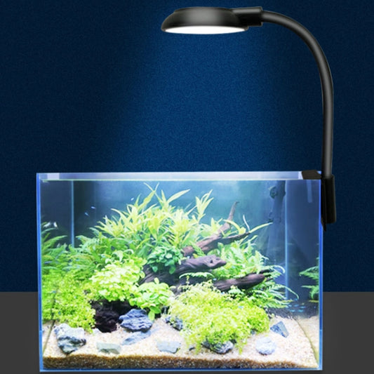 Black LED aquarium clip light with round head and flexible gooseneck over tank.